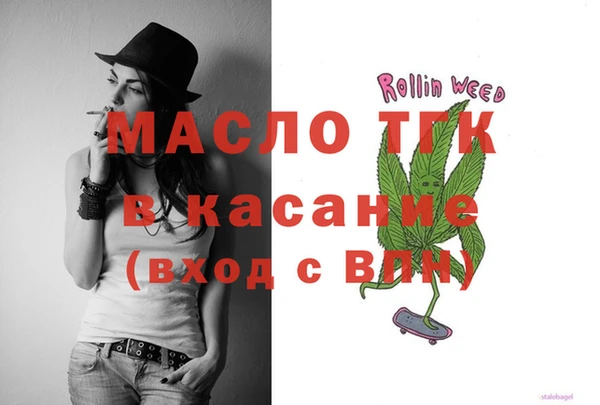 индика Приозерск