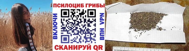 Галлюциногенные грибы мухоморы Киренск